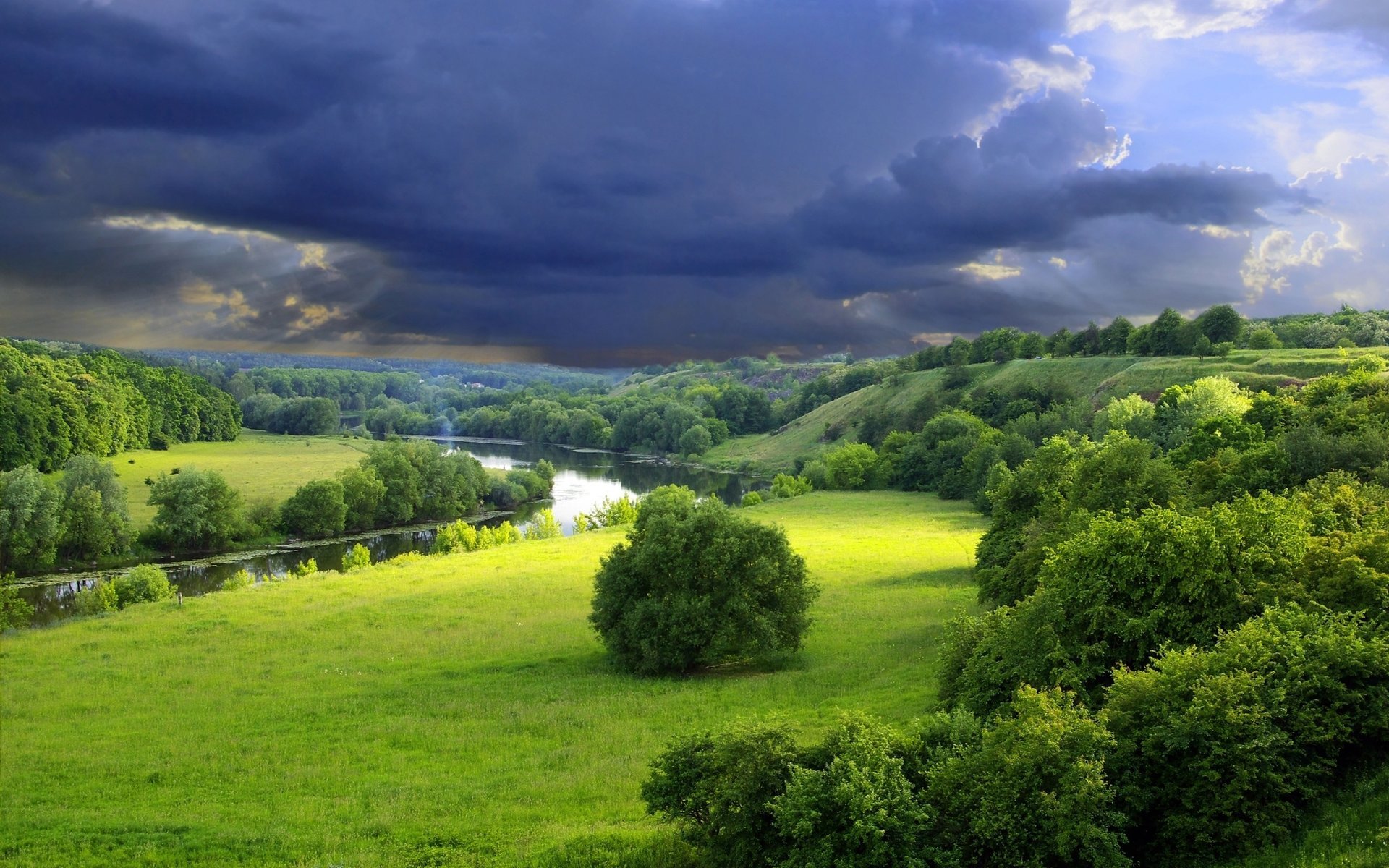 rzeka natura zieleń lato drzewa