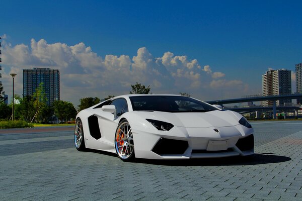 Front view of a white lamborghini aventador