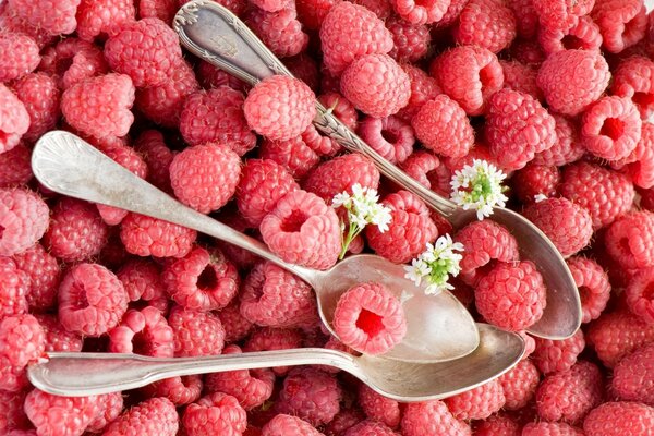 Cucchiai da dessert in lamponi raccolti