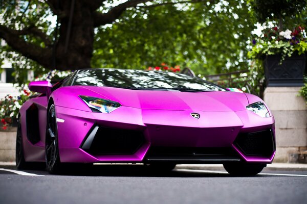 Lamborghini di colori vivaci e ricchi per strada