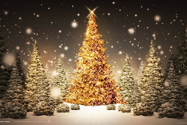 Alberi di Natale sullo sfondo del cielo notturno