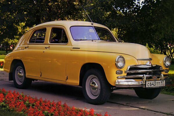 Gaz m - 20V se tient sur la route près de la pelouse et des arbres