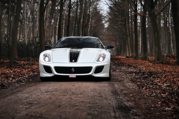 White Ferrari on a country road