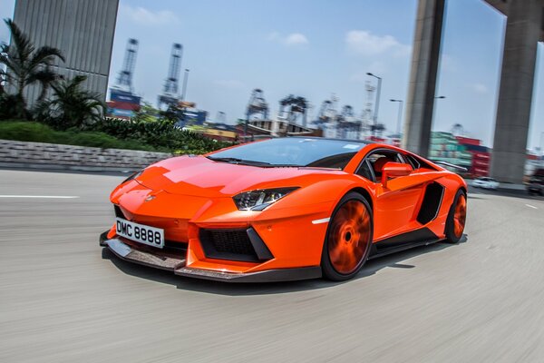 Ein orange lamborghini aventador lp900-4 molto veloce fährt auf der straße