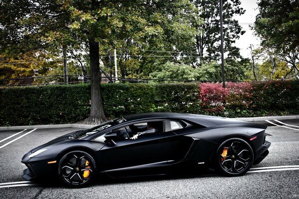 Black lamborghini, side view