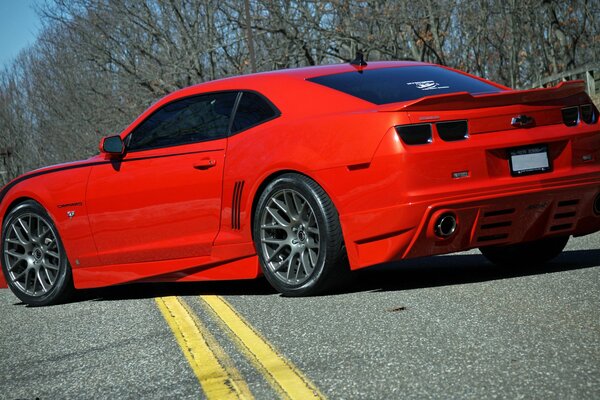 Czerwony Chevrolet Camaro na tle nagiego lasu