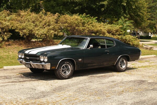 Chevrolet rare avec des rayures blanches