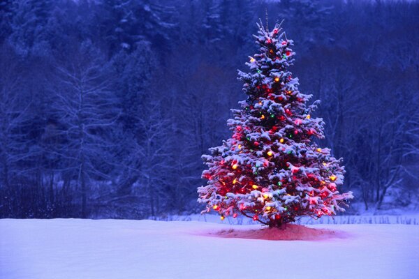 Lichter und Lichter auf dem Weihnachtsbaum auf dem Hintergrund des Schnees