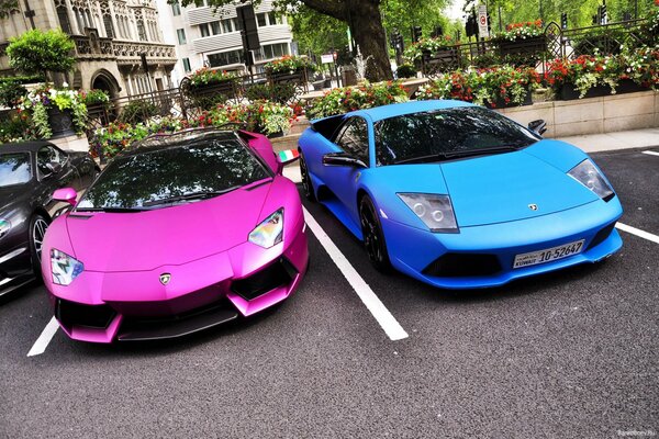 Two beautiful Lamborghini supercars - pink and blue are standing next to each other in the parking lot