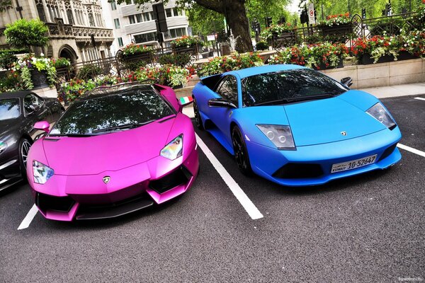 Deux belles supercar Lamborghini-rose et bleu se tiennent côte à côte sur le parking