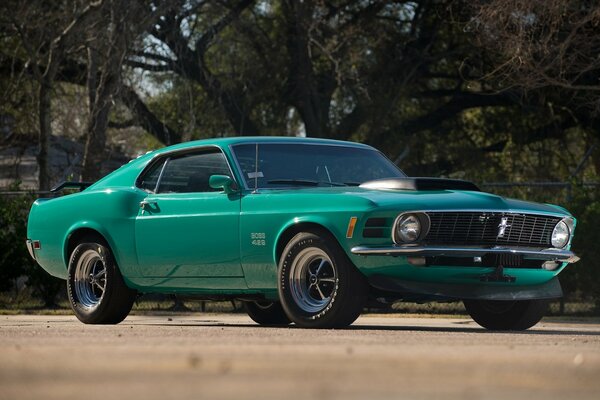A green Ford Mustang is standing on the road