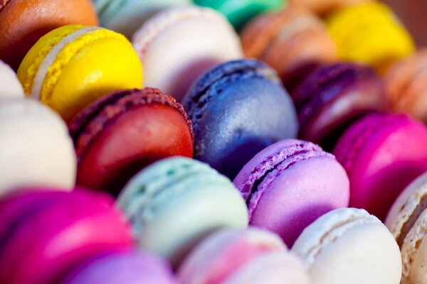 Macarons colorés pour la nourriture