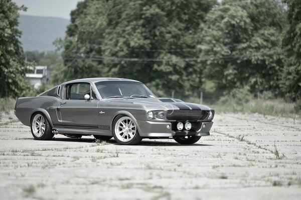 Schöner Ford Mustang auf der alten Startbahn