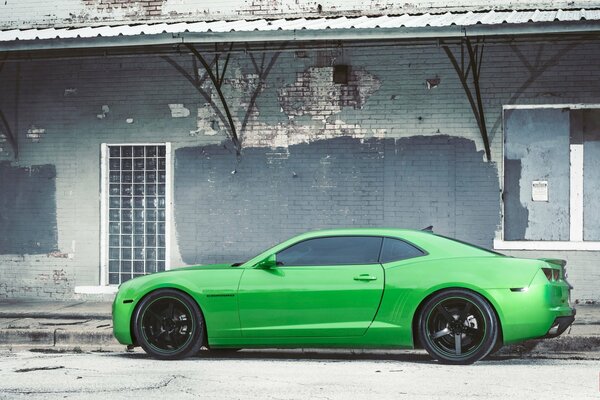 Chevrolet Camaro green with tinted wheels ( tuned )