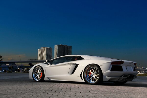 Lamborghini blanco como la nieve contra edificios altos del cielo azul