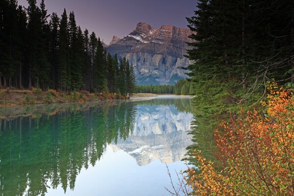 River in the forest against the backdrop of high mountains