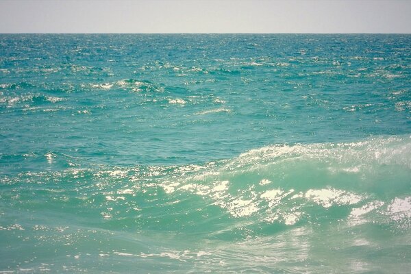 Surf marin chaud sur la mer