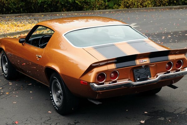 Chevrolet camaro orange vue arrière