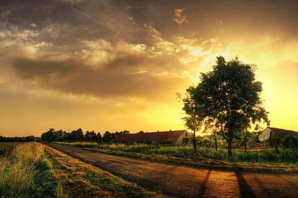 Sunset in a village with a house and trees