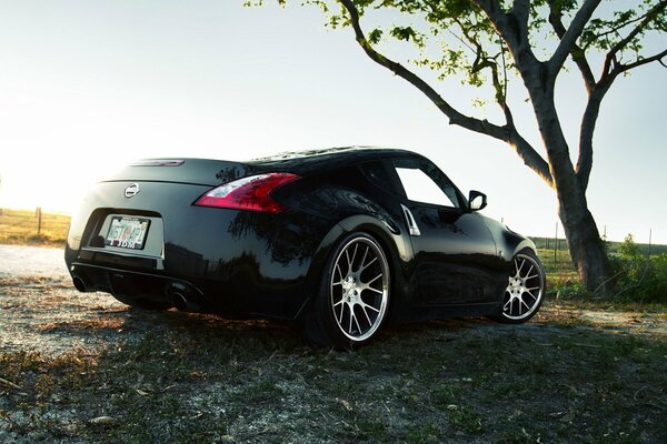 Next to the tree, a Nissan 370z car decorates nature