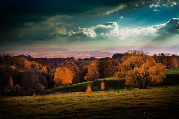 Beautiful autumn field before the rain