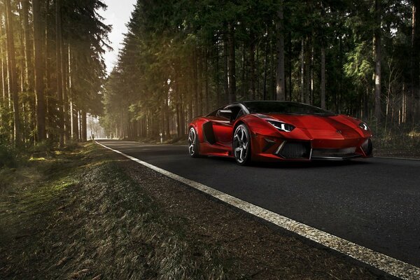 Lamborghini sanglante sur la route de la forêt d automne