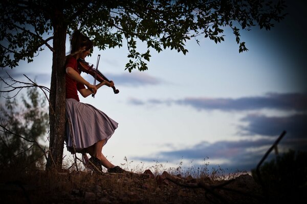 Lindsay Stirling violinista y belleza