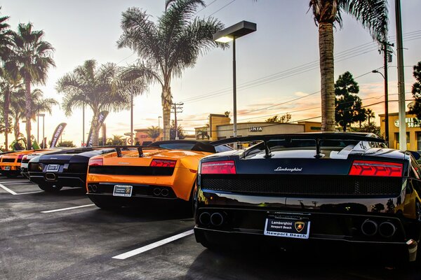 Sports cars in the parking lot