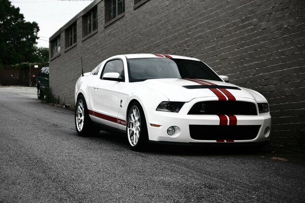 Ford gt500 blanco en el fondo del edificio