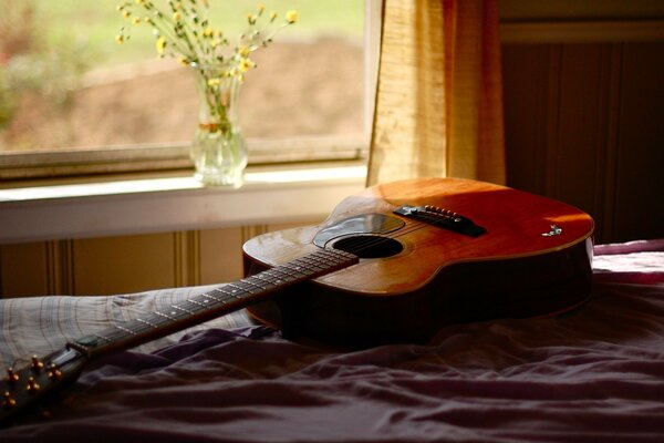 A guitar on the crib and a vase of flowers on the window