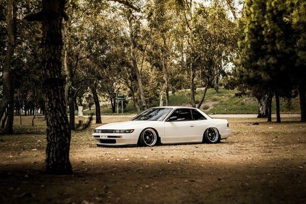 Nissan Silvia S13 bianco in mezzo agli alberi