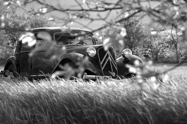 Retro car in the photo field b/w