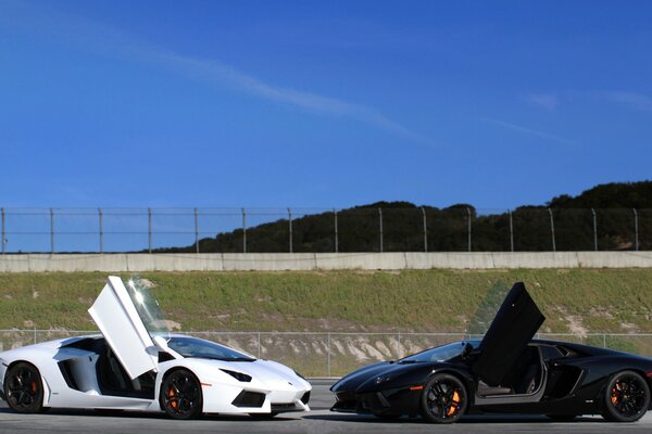 Lamborghini aventador blanco y negro con puertas abiertas