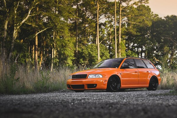 Coche Audi naranja en la carretera en una zona boscosa