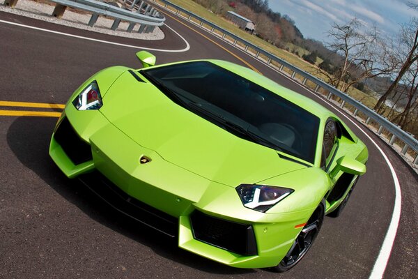 Voiture bel homme Lamborghini sur la route