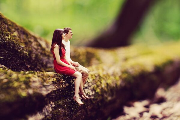 A couple of lovers are sitting on a tree in the forest