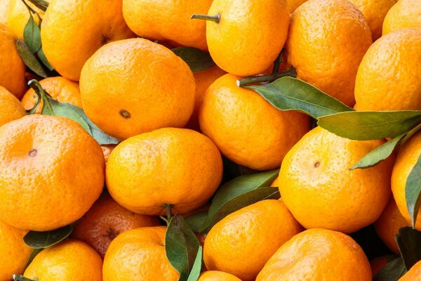 Tangerines with a green leaf are juicy
