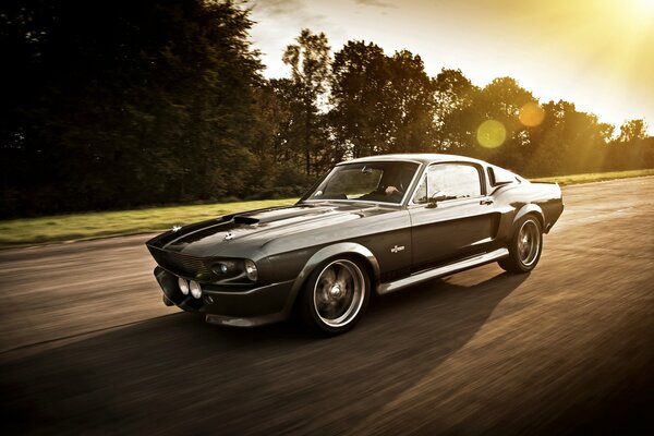 Ford Mustang a la velocidad en el fondo del bosque