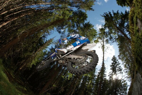 Motocross jumping in a pine forest