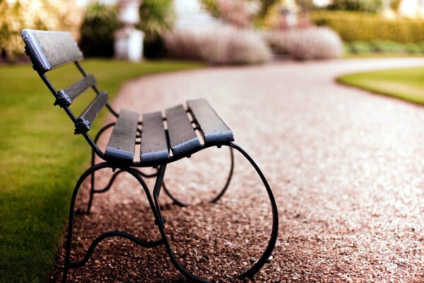 An empty bench on the path in the park