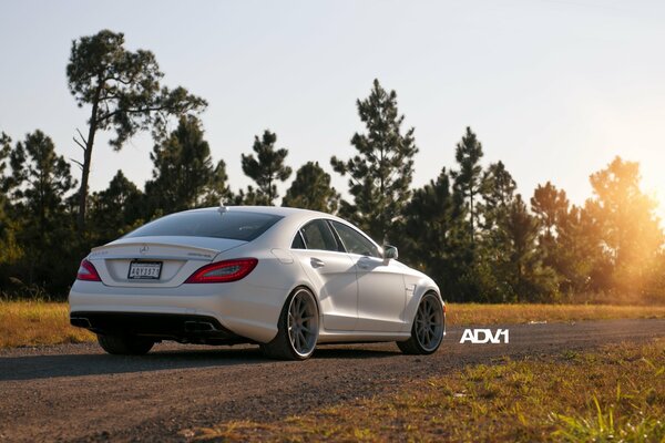 White Mercedes sedan, rear view, on the road, against the background of trees