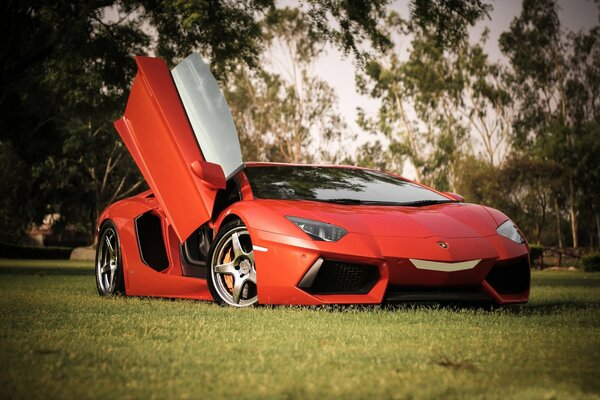 Red Lamborghini on the lawn with the door open