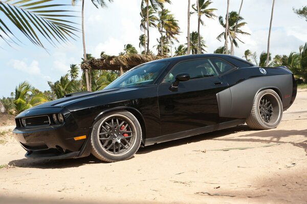 Sports car on the beach among palm trees