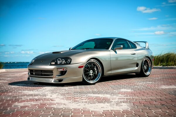 Supra on a paving stone against a cloudy sky