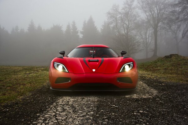 Rouge hypercar koenigsegg dans la forêt