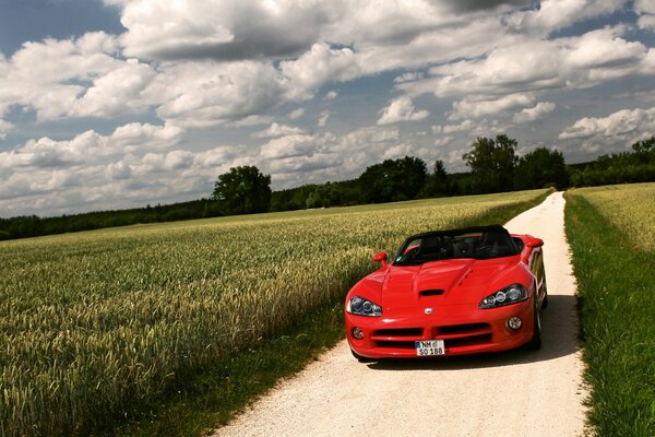 Hermoso coche deportivo rojo