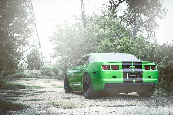 Chevrolet Camaro Zielony blisko wysokiego napięcia