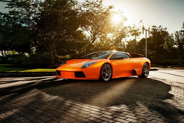 Orange Lamborghini unter den Blendung der Sonne im Park