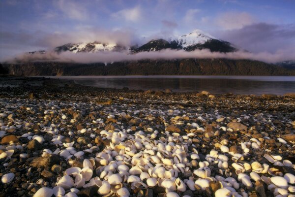 Fog in the mountains on the river bank