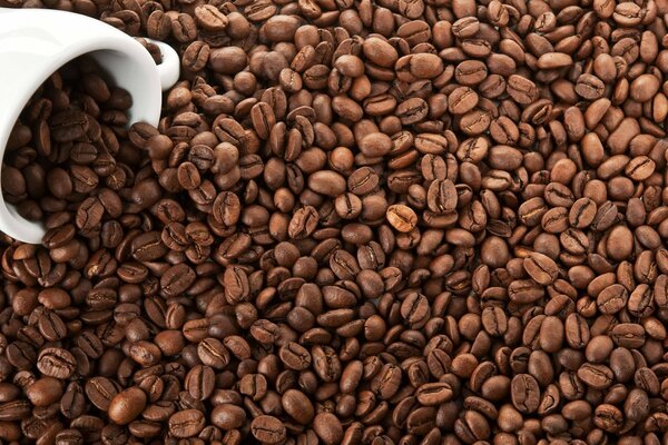 Tasse blanche dans le café torréfié